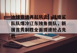 冰球赛场再起风云：钱塘鲨队队爆冷辽东独角兽队，新援首秀制胜全面提速抢占先机的简单介绍
